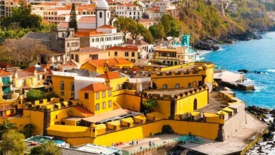 "Um ecossistema criativo vibrante." Madeira é a primeira a juntar-se ao World Creativity Day Portugal