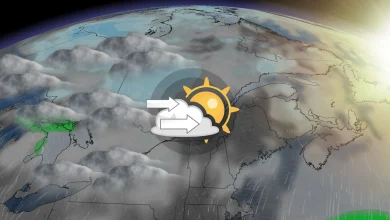 Un élément domine en février, mais la tendance pourrait s'inverser