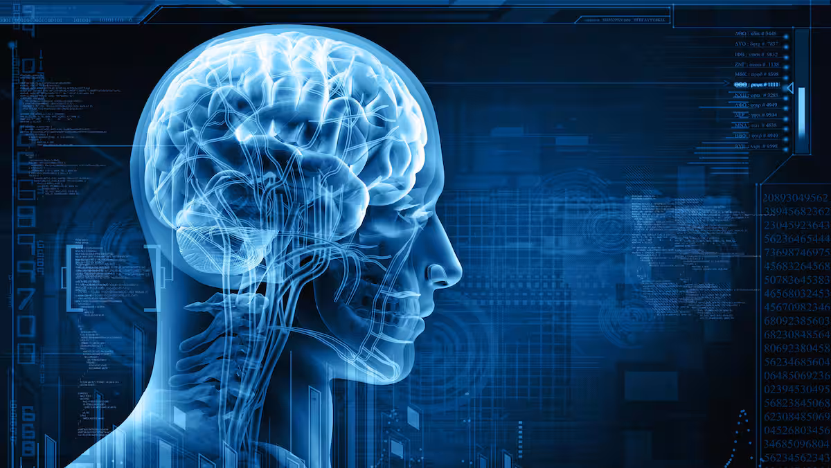 Un exercice de rapidité cérébrale réduirait le risque de démence, selon une étude