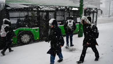 Un nou val cu ger, ninsoare şi viscol va cuprinde întreaga țară. ANM a emis o nouă avertizare de vreme rea