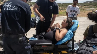 'Unborn children are dying': Pro-life leaders challenge ICE detention of pregnant women