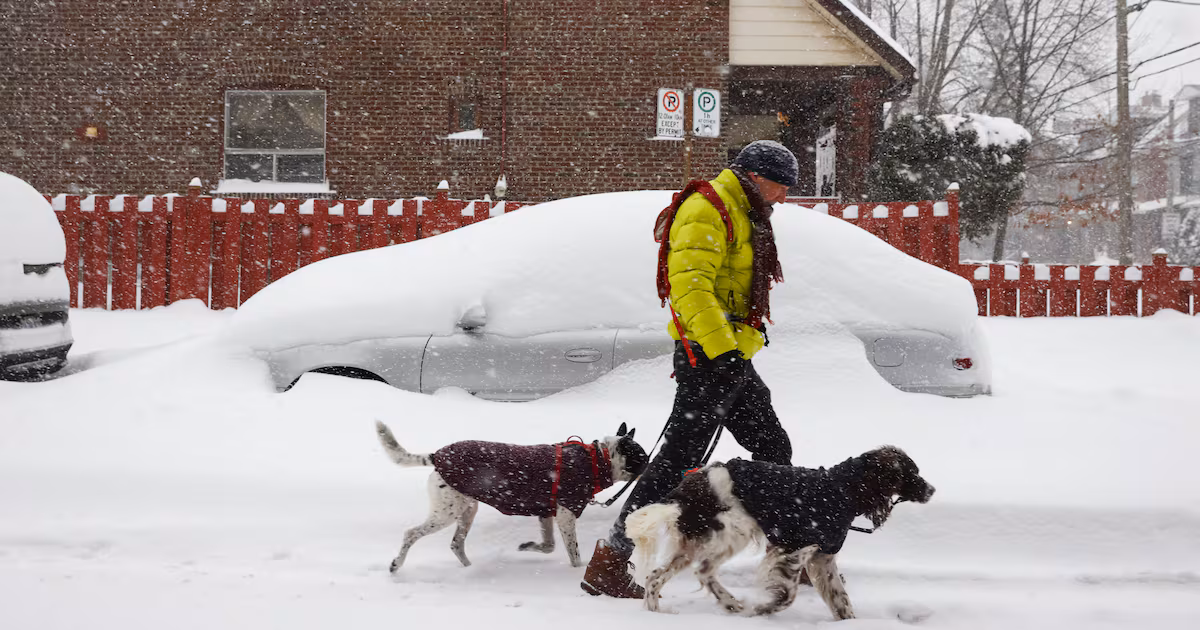 Up to 15 cm of snow forecast, winter storm watch in effect for parts of GTA