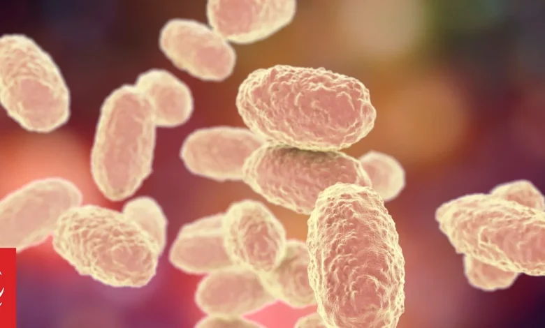 Vanuatu's Health Ministry says whooping cough under control