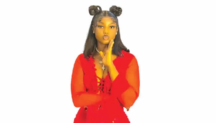 VeryDarkman, King Mitchy drag Seyi Tinubu into messy battle