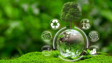 Viewpoint: Rebuilding global capital for a world in transition — article includes a paywall