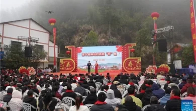 Villagers enjoy Spring Festival gala in Shenshan Village, China's Jiangxi