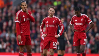 Virgil van Dijk: Liverpool players not only 'playing to keep their jobs'