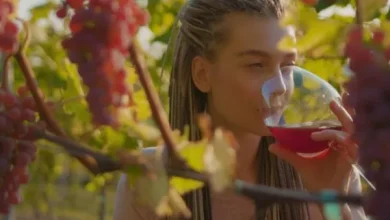 WINE TOURISM IN ITALY DRIVES GROWTH IN THE TRAVEL SECTOR