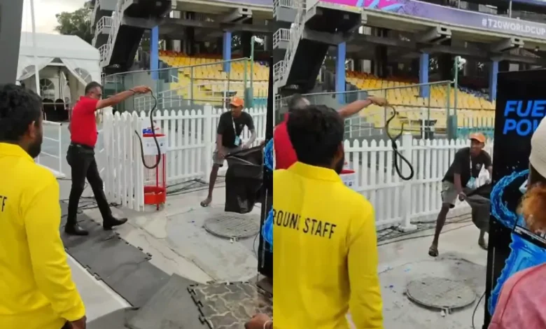 Watch: Snake Found In Pakistan's Dugout Ahead Of T20 World Cup Match vs India