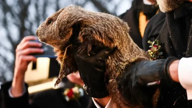 Watch livestream of Groundhog Day 2026 as Punxsutawney Phil emerges