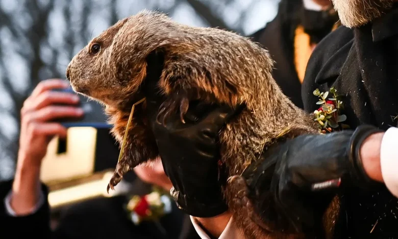 Watch livestream of Groundhog Day 2026 as Punxsutawney Phil emerges