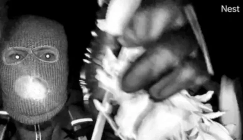 Watch the new surveillance videos from Nancy Guthrie’s home