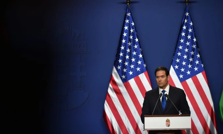 We Hit You Because We Love You