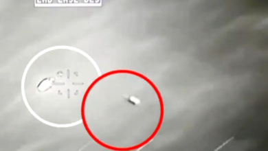 We asked scientists what they think we'll learn from the government's UFO files. Here's what they said.