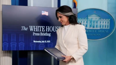 What does Tulsi Gabbard’s job as director of national intelligence have to do with elections?