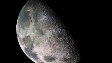 What four astronauts could find as they journey around the moon and beyond its far side