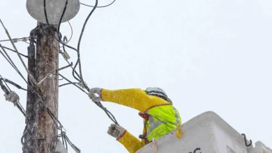 What really broke on the grid during Storm Fern – it wasn’t wind or solar