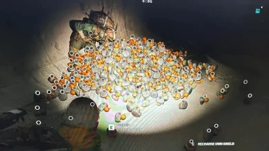 'What the Duck Is This?' — Arc Raiders Duplication Glitch has Players Running Into Hoarders With Hundreds of Squeaky Bath Toys