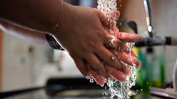 What to know about 'the sprinter of viruses' that stopped Canada-Finland hockey game