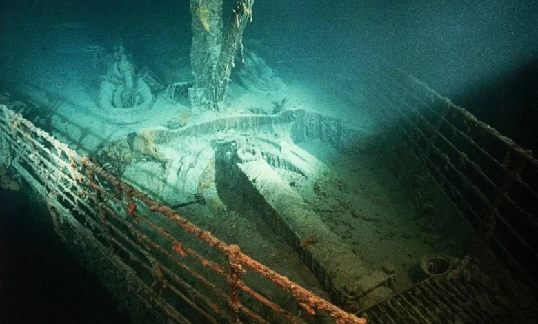 When the Titanic sank 3,800m into the Atlantic Ocean, strange animals moved into the wreck