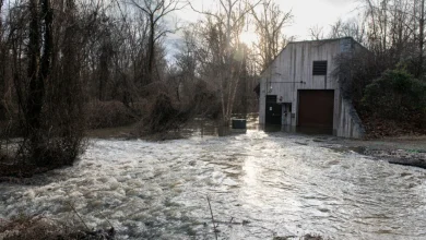 When will the Potomac River be free of sewage?
