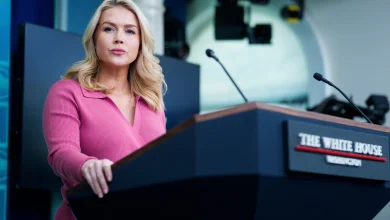 White House ‘can’t guarantee’ ICE won’t be at polls