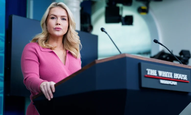 White House ‘can’t guarantee’ ICE won’t be at polls