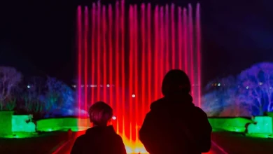 Wildlife park confirms the return of festive light trail