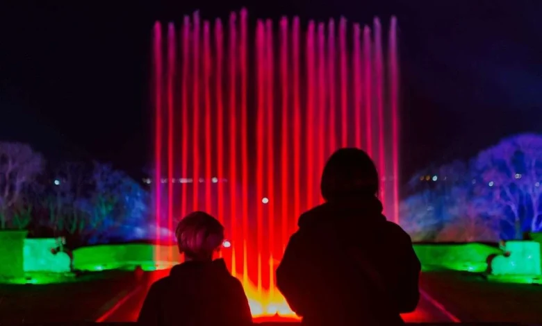 Wildlife park confirms the return of festive light trail