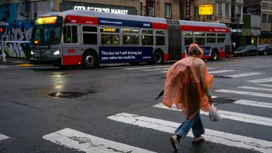 Winter Is So Back. Storms Are on the Way for the Bay Area and Sierra Nevada