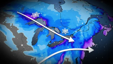 Winter isn't over yet: Burst of widespread snow to impact Ontario