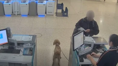 Woman Abandoned Dog at Airport Ticket Counter