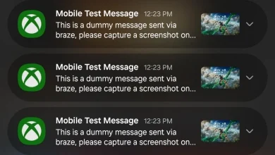 Xbox Issues Apology For Spamming Users With 'Braze' Test Messages