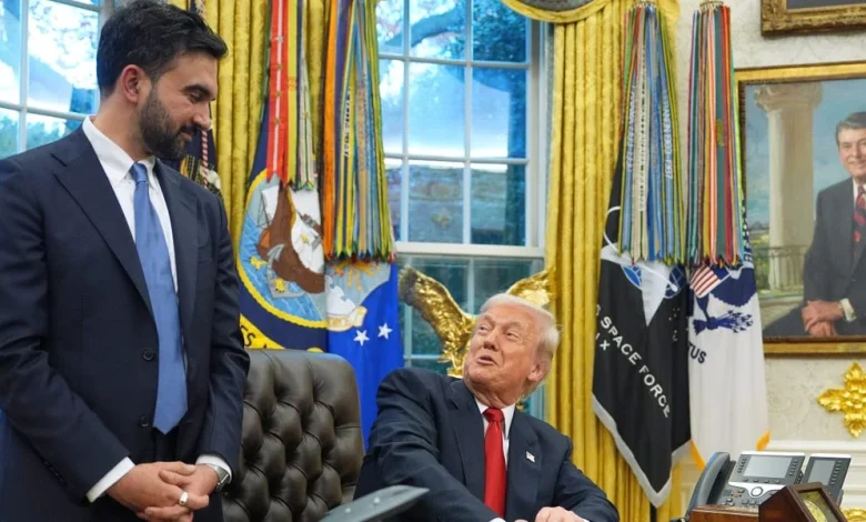 Zohran Mamdani's Savvy With Donald Trump Is Lighting up the Internet