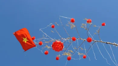 گیا لائی: لوگ نئے قمری سال کے استقبال کے لیے رنگین نئے سال کے کھمبے کھڑے کر رہے ہیں۔