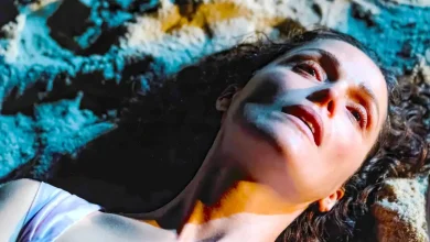 ‘If I Had Legs I’d Kick You’ Ending, Explained: The Meaning Behind the Rose Byrne Movie