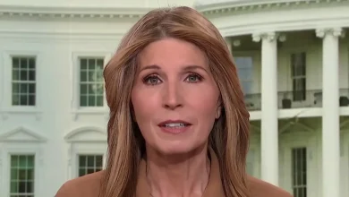‘Nobody asked him for a headcount’: Nicolle Wallace blasts Howard Lutnick’s Epstein explanation