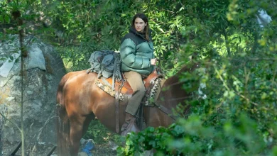 ‘Paradise’ Episode 1 Recap: Shailene Woodley in ‘Graceland’