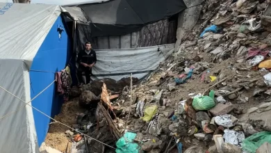 ‘Rats run over our faces’: Gaza’s displaced forced to live on infested land