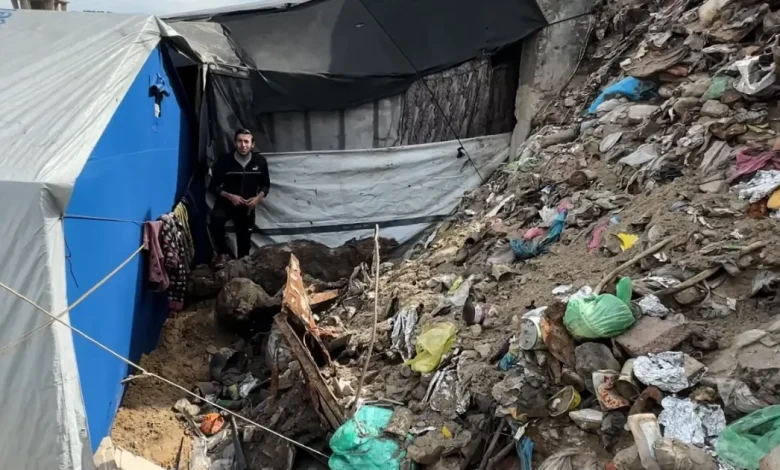 ‘Rats run over our faces’: Gaza’s displaced forced to live on infested land