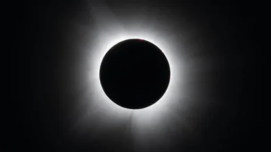 ‘Ring of fire’ solar eclipse: February 2026 path, visibility over Antarctica and partial eclipse for South Africa