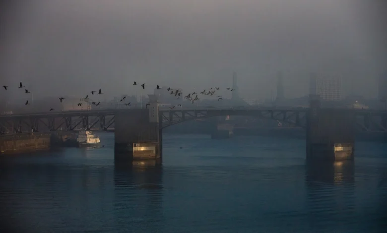 ‘We are in a recession,’ Portland economist warns