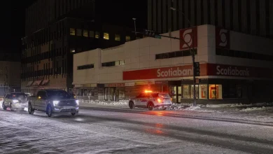 ‘Wildlife contact’ at Jackfish is suspected cause of major YK outage