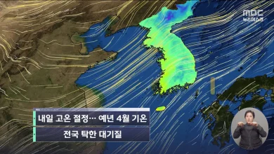 [날씨] 내일 고온 절정‥예년 4월 기온, 전국 탁한 대기질