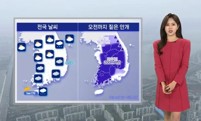 [날씨] 당분간 평년 기온 웃돌아…출근길 짙은 안개