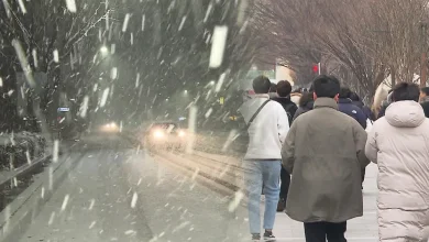 내일도 영하 10도 강추위…서해안은 많은 눈