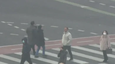 서울 등 수도권·영서 첫 '비상저감조치'...휴일까지 고온에 스모그