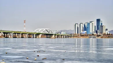 수요일(4일) 낮 최고기온 12도…드디어 추위 꺾이나?[내일 날씨]