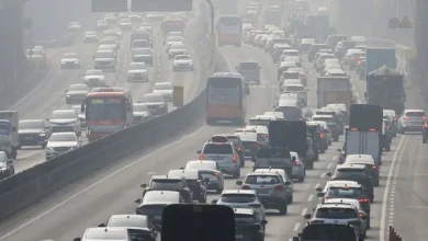 [오늘 날씨] 설 연휴 둘째 날, 낮 최고 19도...포근한 날씨 이어져