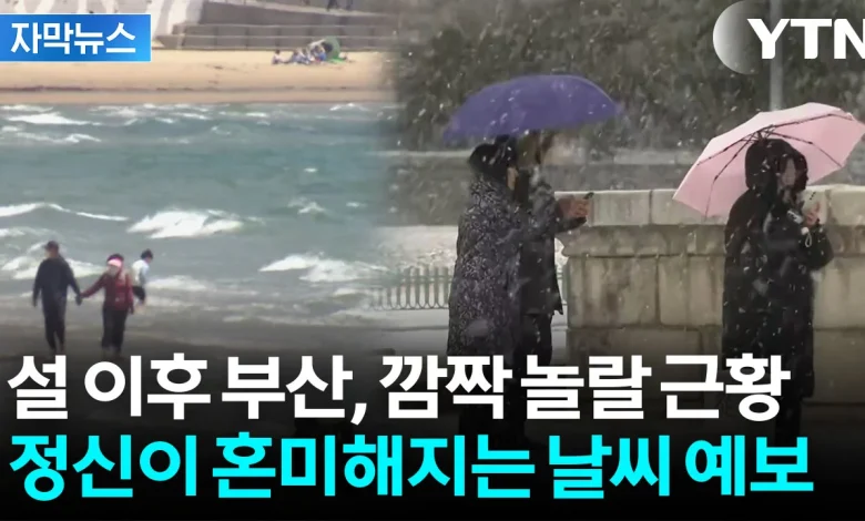 [자막뉴스] 4월 기온됐다 다음 주엔 갑자기...'롤러코스터' 날씨 전망